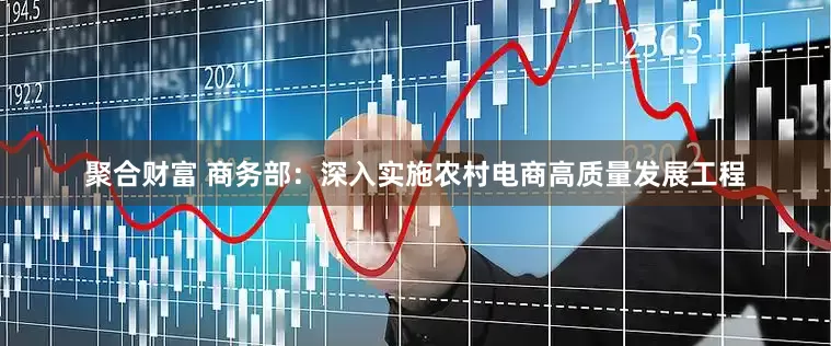 聚合财富 商务部：深入实施农村电商高质量发展工程